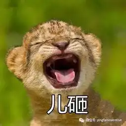 扎心了,志愿