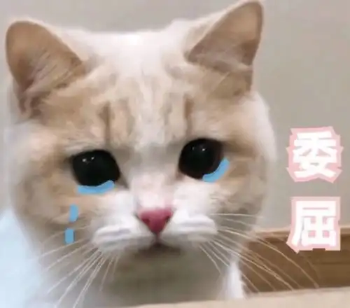 开学季,对老师来说努力活着是一件多么艰难的事