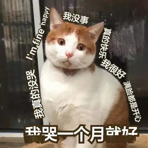 西安人挺住雨雨雨断崖式降温,暴跌至8还有这些坏消息...