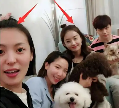 赵丽颖真闺蜜周放,陪着她从小透明到现在一线女星网友真羡慕