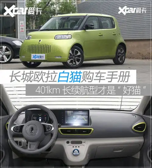 长城欧拉白猫购车手册