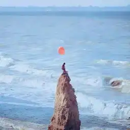 手把手教你怎样在众多头像中脱颖而出想当网红必知