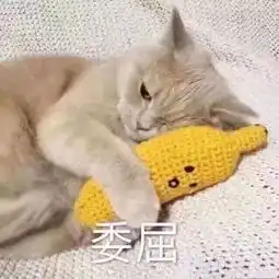 无敌实用沙雕表情包