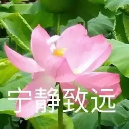 清远人,你的朋友圈屏蔽父母了吗