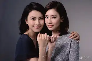 赵敏周芷若成中国好闺蜜高圆圆贾静雯齐做公益