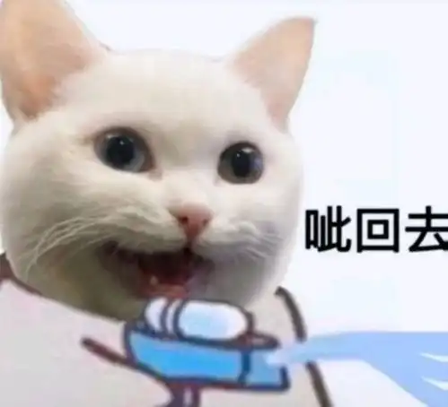 每日一笑这智商当个骗子也真实委屈你了