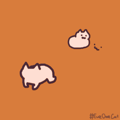 魔性小猫咪动图表情包