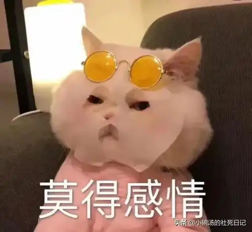 短篇小说故人同梦不同尘02,总有人会捡起七零八落的你