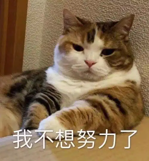 有内味儿的灵魂高糊表情包我的天空在下着小雨