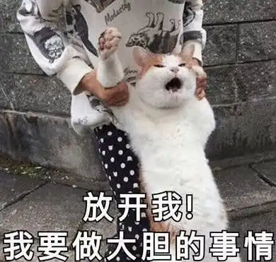 表情让人无话可接的软萌表情包谈什么恋爱,是手机不好玩吗表情