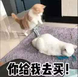 街拍丨照相不上相那是因为它瞬间让你的气质提升800