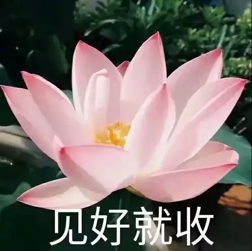沙雕个性闺蜜头像集那些值得收藏的好句子
