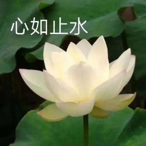 沙雕个性闺蜜头像集那些值得收藏的好句子