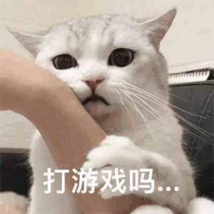 表情包动图抖音最火表情包可爱动漫0921期