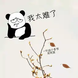 阜师的秋高清壁纸与表情包,等你来收藏