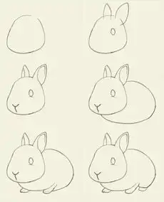 小兔子的头怎样画图片
