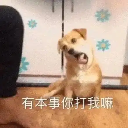 表情包丨鸡渴难耐
