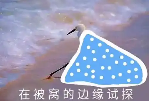 数九寒天拉开帷幕,本周天气多阴雨天气