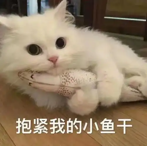 大雨中雨小雨轮番上阵东阳迎来降雨集中期