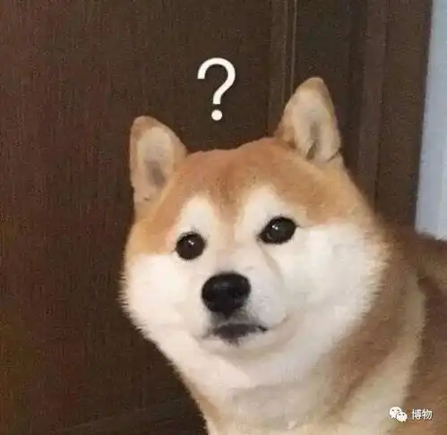 博物这鸟真名就叫憨憨,真是什么鸟名都有