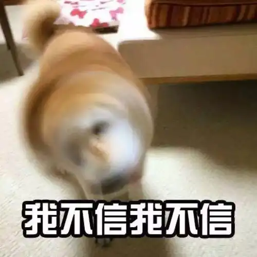 花20万rmb却只赚了300美元,老板懵逼,网友大呼套路太深