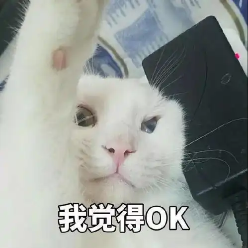 十条笑话刚刚做了什么,发出了这么哀伤的感叹呢