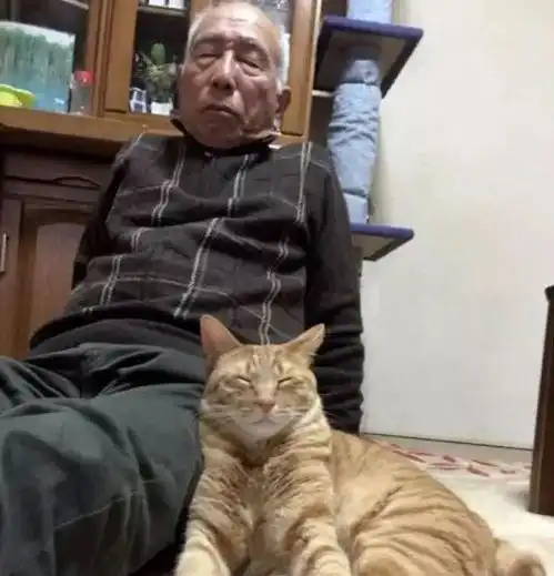 猫和主人越来越像别怀疑,是真的