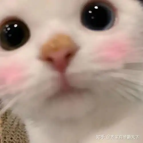 你们给男朋友最特别的备注是什么,有什么含义