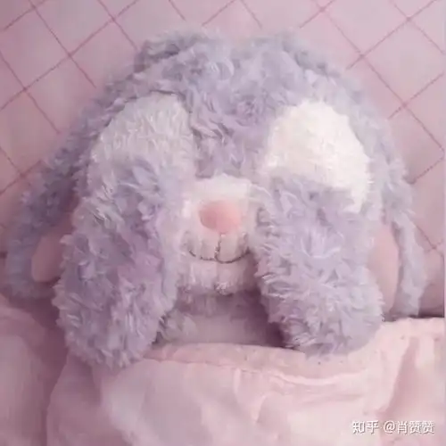 甜宠穿越小说