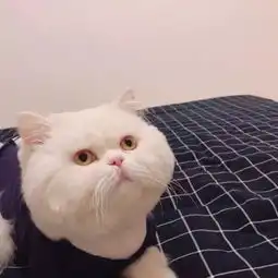 防晒霜大集合,再也不怕晒黑了