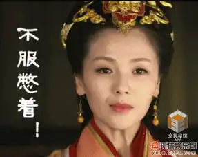 同是阔太刘涛拍戏风生水起李念走上炫富不归路