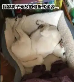 爆笑gif图现在的闺蜜只要到了街上,那心机简直是比海还要深啊