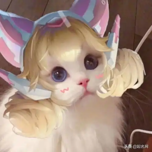 盘点让人发笑的宠物名字,这些名字一个比一个奇葩
