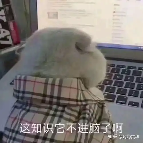 高考指南和招生专业目录的区别是什么