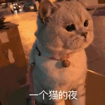 蜗牛与黄鹂鸟深度吐槽,翻拍的有多烂