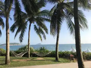 永远18岁记2017抛夫弃子舍猫的铁闺蜜,三亚之旅简书