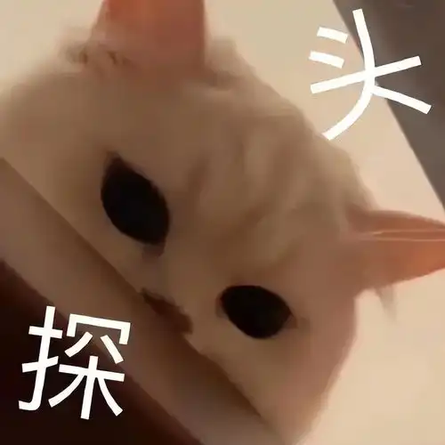 相差6岁的爱情不被看好可求婚后的生活又甜又尬,太上头了