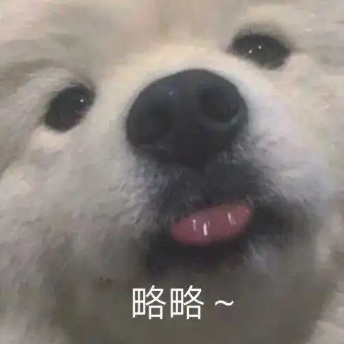 聊天斗图表情包丨甜心我来啦