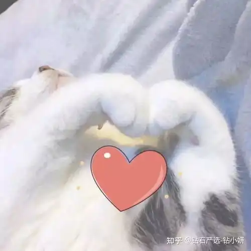 普通人结婚买多大的钻戒买钻戒一般要花多少钱呢结婚求婚一定要买一克拉的钻戒吗一克拉钻戒到底多少钱
