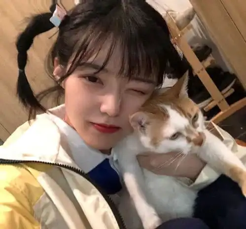 看着很精,其实很傻的三个星座