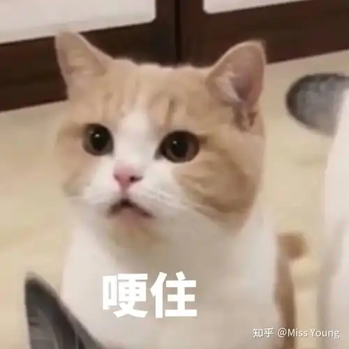 因为减肥或者体重感到焦虑怎么办