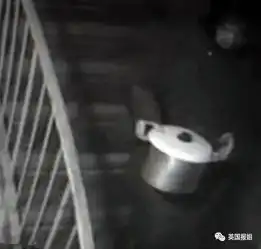 恐怖至极俄七旬老太切下闺蜜人头尸放进高压锅