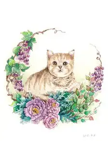 肥肥的猫咪