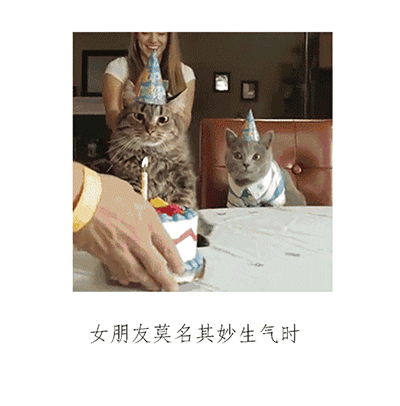 这不就是你的女朋友吗沙雕配图像极了女友,太真实了