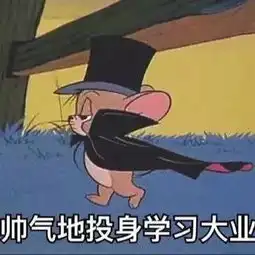 何以解忧艰苦备考录