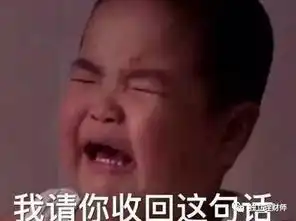 谢拉露妮丝表情包谢飞机