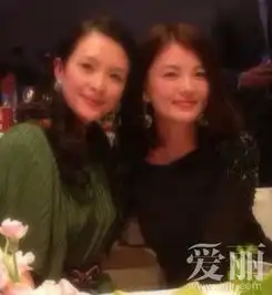 何炅谢娜李小璐阚清子郑爽明星闺蜜照曝亲疏关系