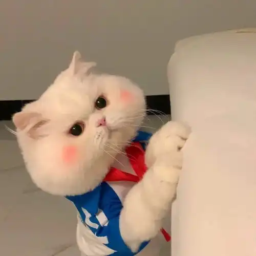 浪漫情头守一段情,念一个人