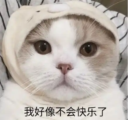 幽默笑话,舍友的异地恋女友来找他玩