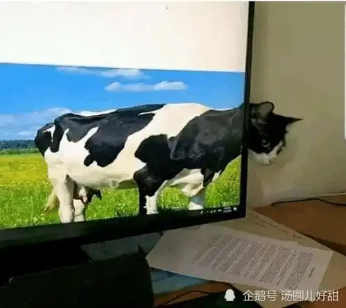 淘宝下的单,拆快递的时候才发现,居然是拼多多发的货what